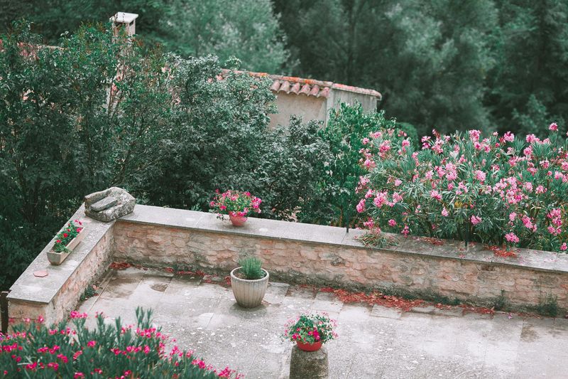 5 Backyard Design Choices That May Not Be Cost-Effective - Decor Hint High-Maintenance Landscaping Materials