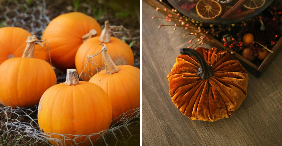 5 Elegant Pumpkin Decorating Ideas That Dont Involve Carving - Decor Hint