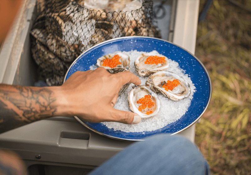 5 Irresistible Reasons This Florida Oyster Bar Draws Visitors From Across The State - Decor Hint Ocean-Fresh Seafood Harvested Daily
