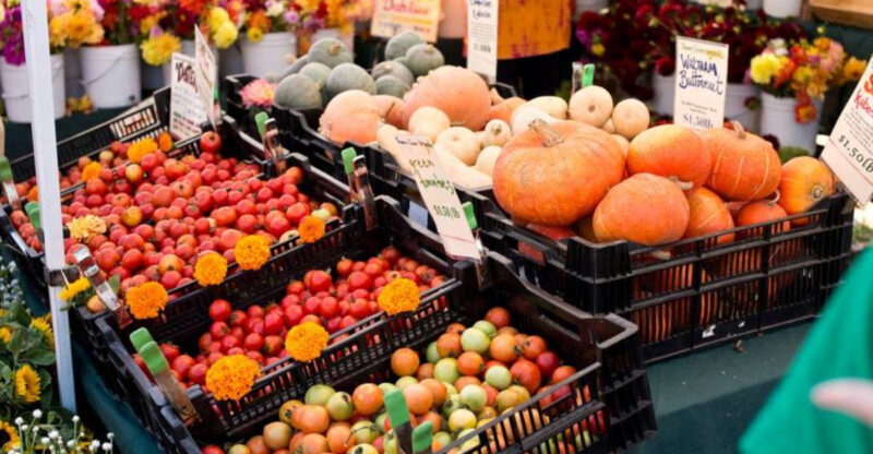 5 Vibrant California Farmers Markets Perfect For Food Enthusiasts