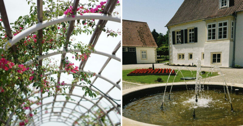 6 Garden Upgrades That Could Cleverly Alter Perception