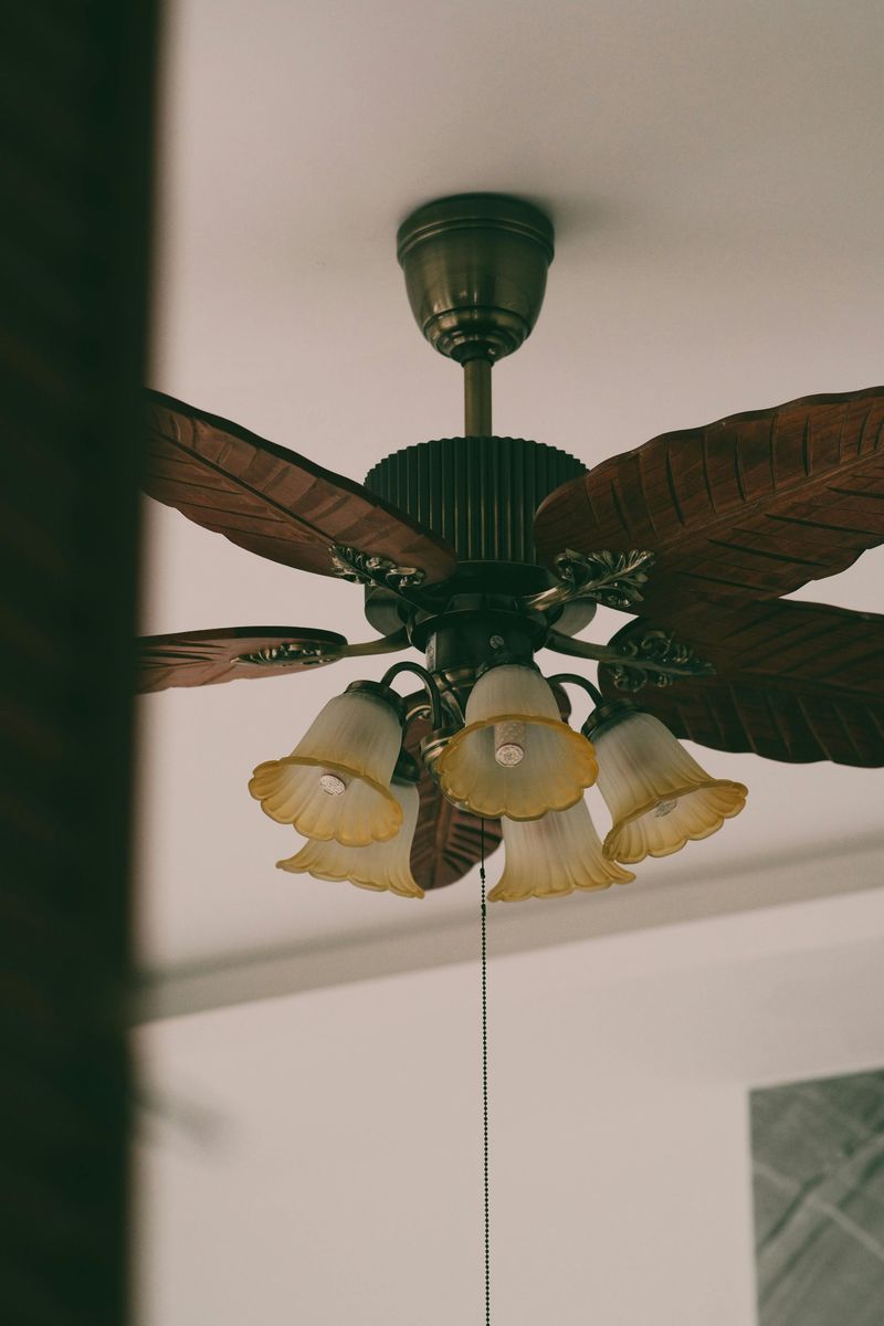 6 Small Details That Could Make Your Place Look Dirty - Decor Hint Dust on Ceiling Fans