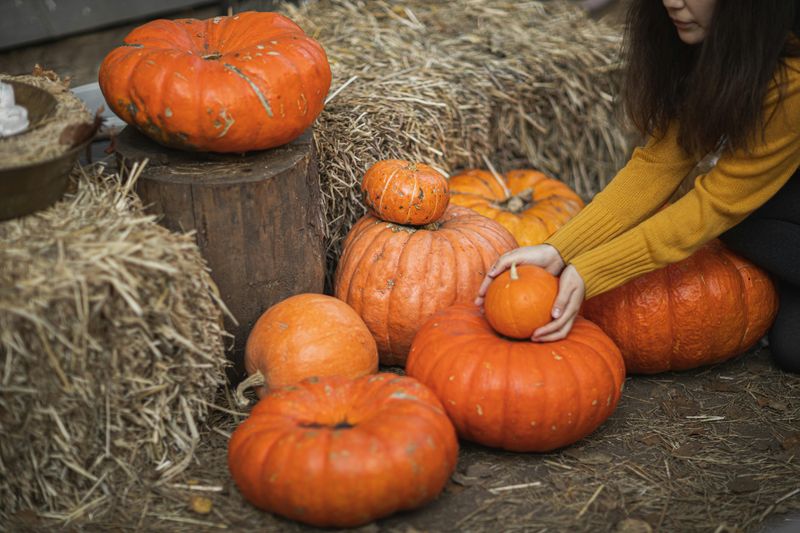 6 Subtle Halloween Touches For People Who Don't Like Over The Top - Decor Hint Small Pumpkin Accents