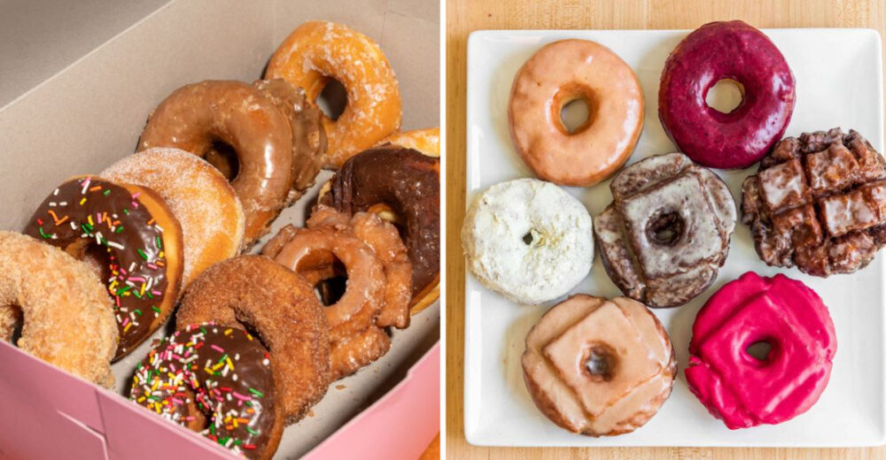 7 Spots Serving Apple Cider Donuts That Could Feel Perfectly Fall - Decor Hint