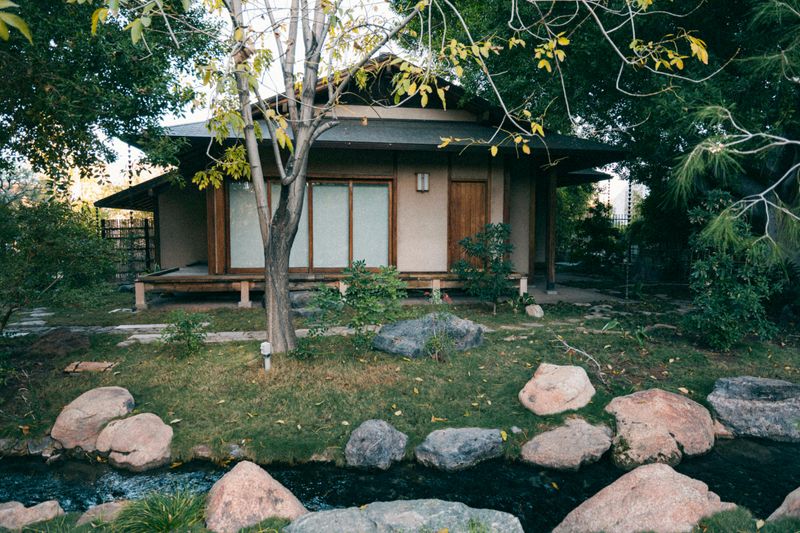 8 Garden Tweaks That Could Improve Indoor Comfort - Decor Hint Add Shade Trees
