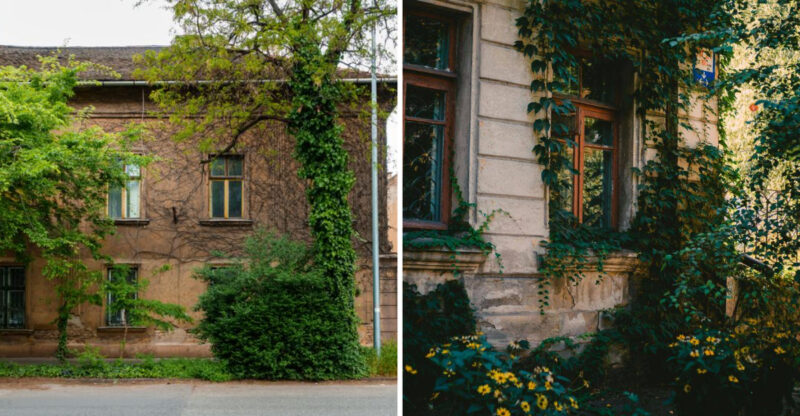 8 Landscaping Mistakes That May Make Buyers Think Twice