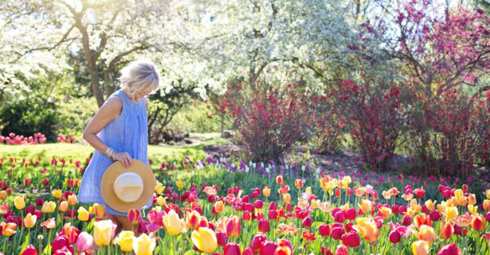 8 Ways To Make A Small Garden Feel Like A Hidden Oasis 1 - Decor Hint