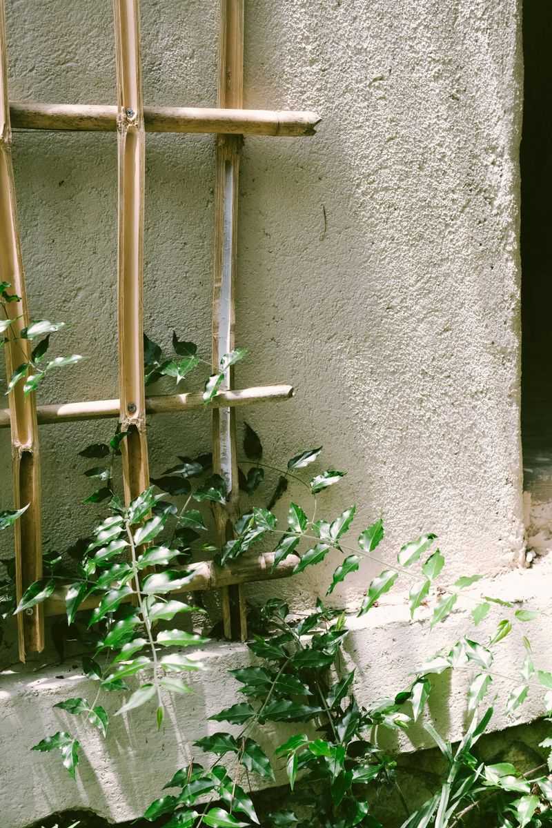 8 Ways To Make A Small Garden Feel Like A Hidden Oasis - Decor Hint Vertical Planting: Use walls or trellises for greenery