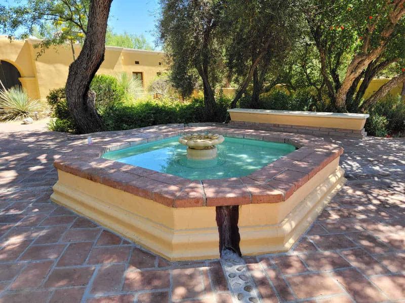The Secret Garden Of Tubac