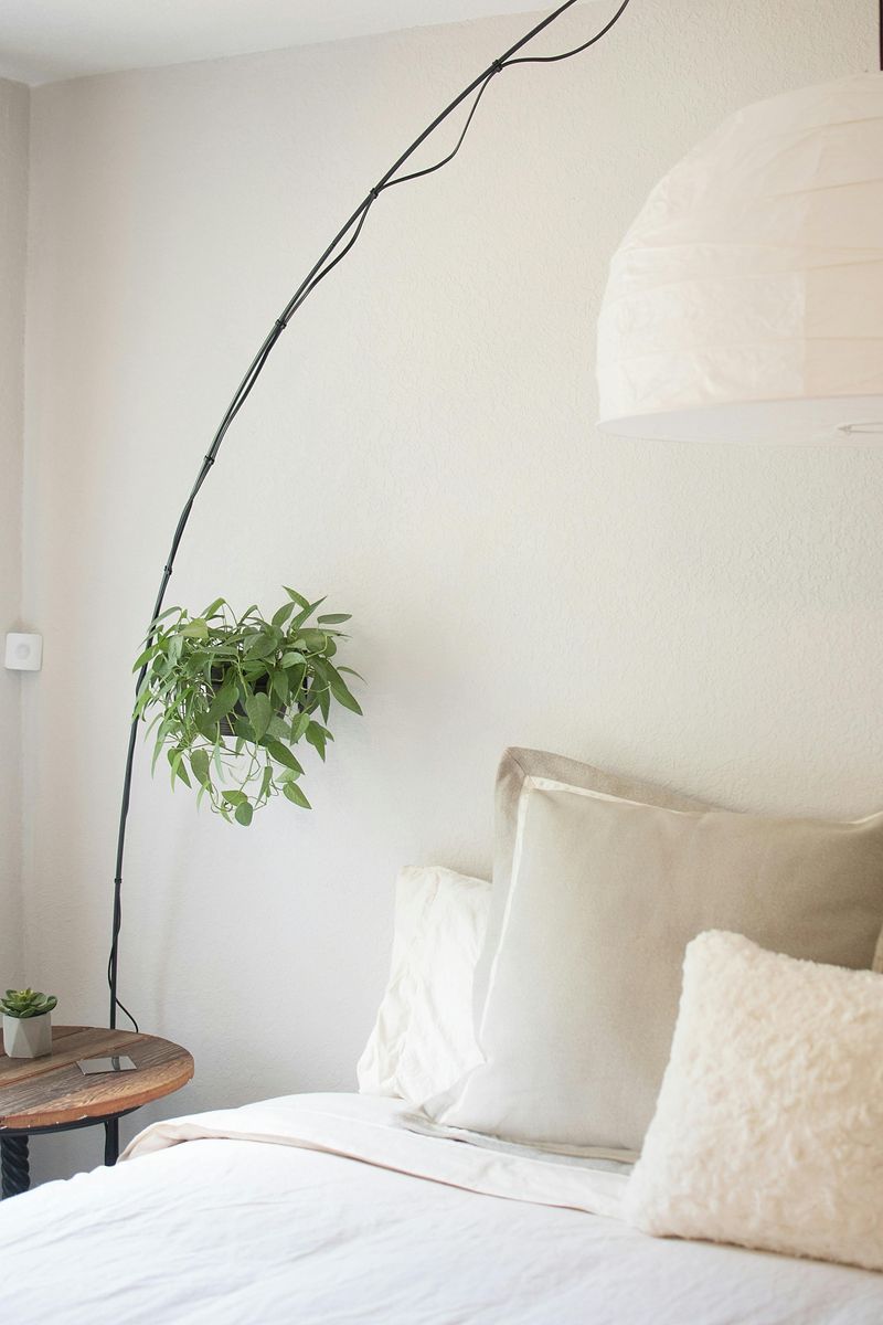 Statement Plant