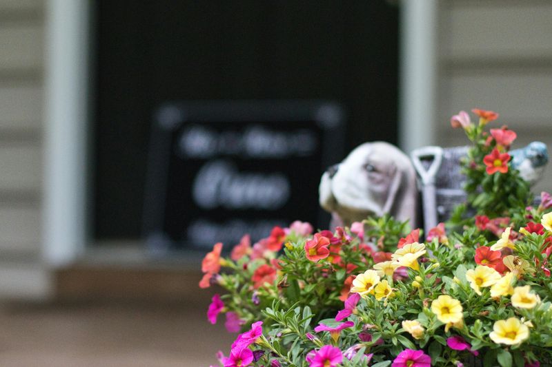 Create A Warm Welcome With These 13 Front Porch Ideas - Decor Hint Use Colorful Potted Plants