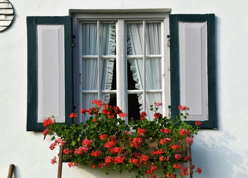 Create A Simple Window Box Garden