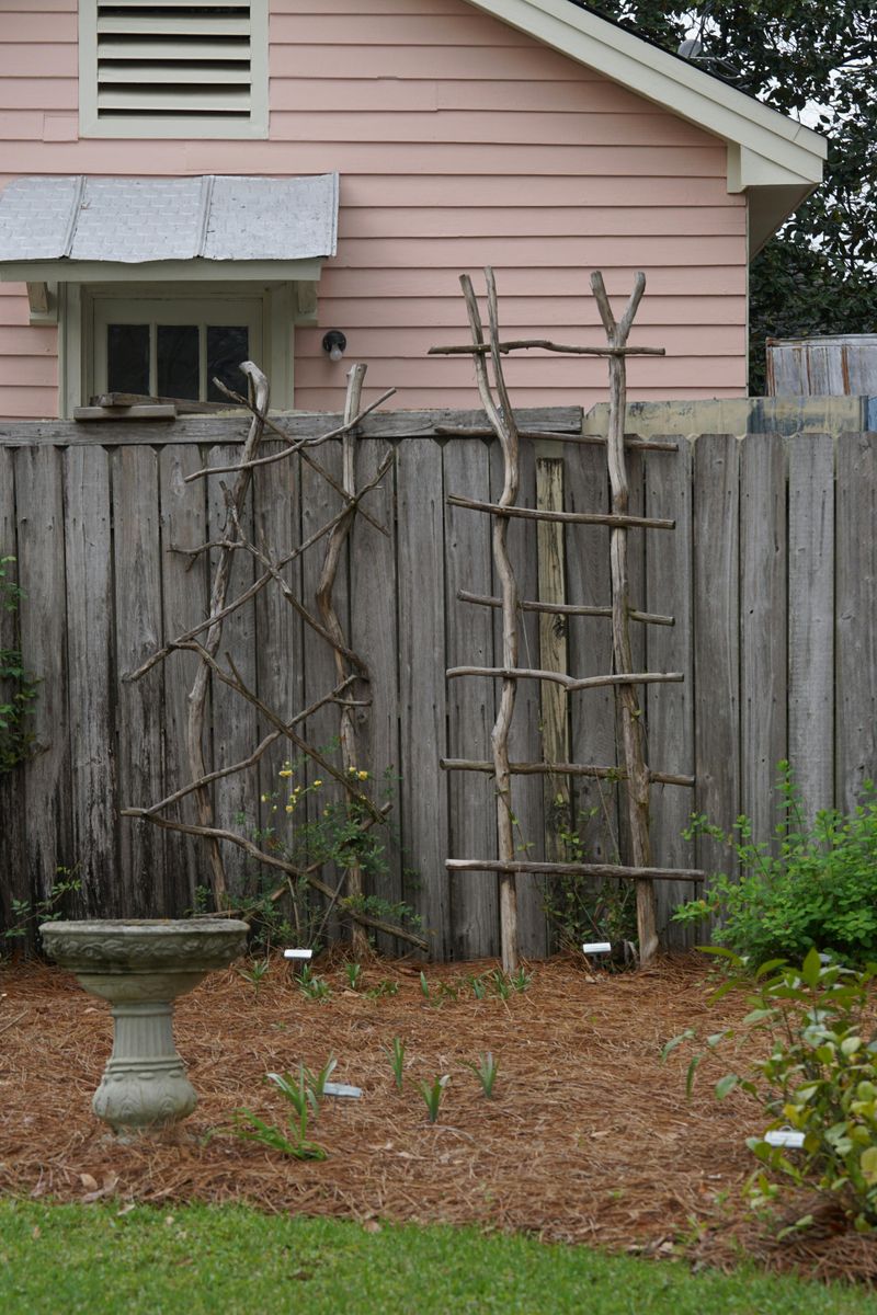8 Garden Tweaks That Could Improve Indoor Comfort - Decor Hint Mulch Garden Beds to Reduce Heat