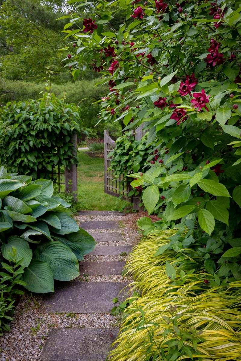 12 Small Investments That May Make Your Backyard A Relaxing Hideaway - Decor Hint Set up a small garden path