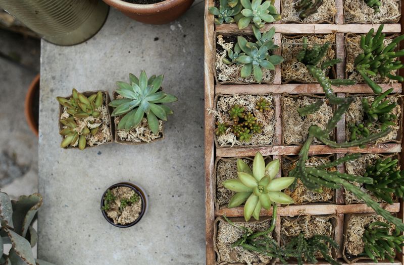 Patio Decorating Ideas That Could Work On A Modest Budget - Decor Hint Creating A Container Garden With Budget-Friendly Plants