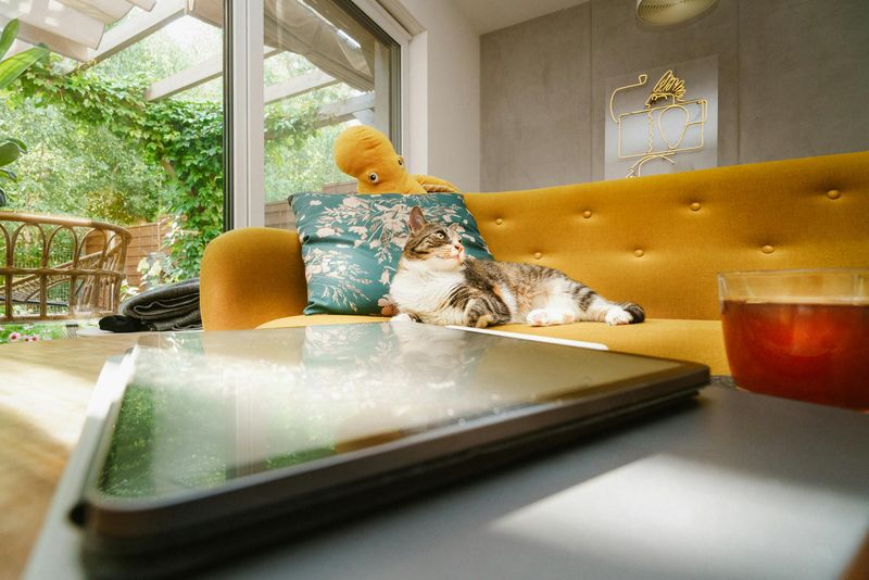 Living Room Color Schemes That Might Be Less Effective - Decor Hint Neon Color Overload
