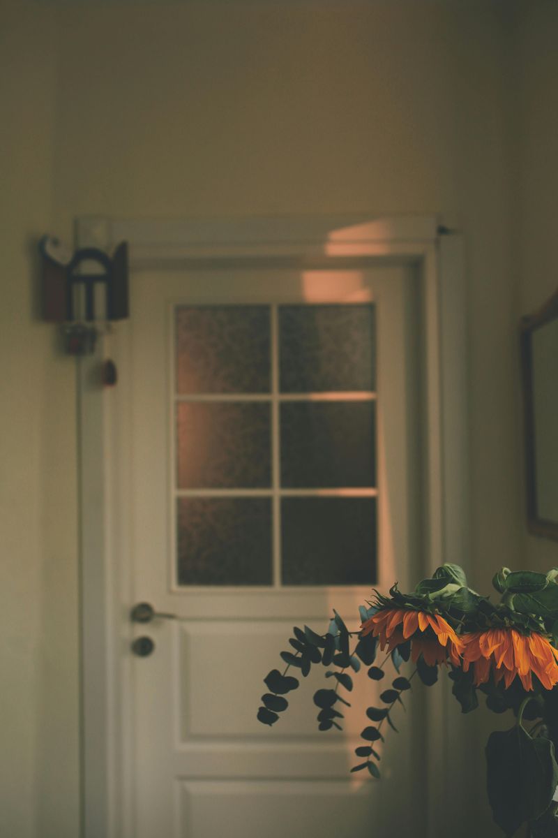 7 Houseplants To Avoid In Your Entryway - Decor Hint ZZ Plant Zonk