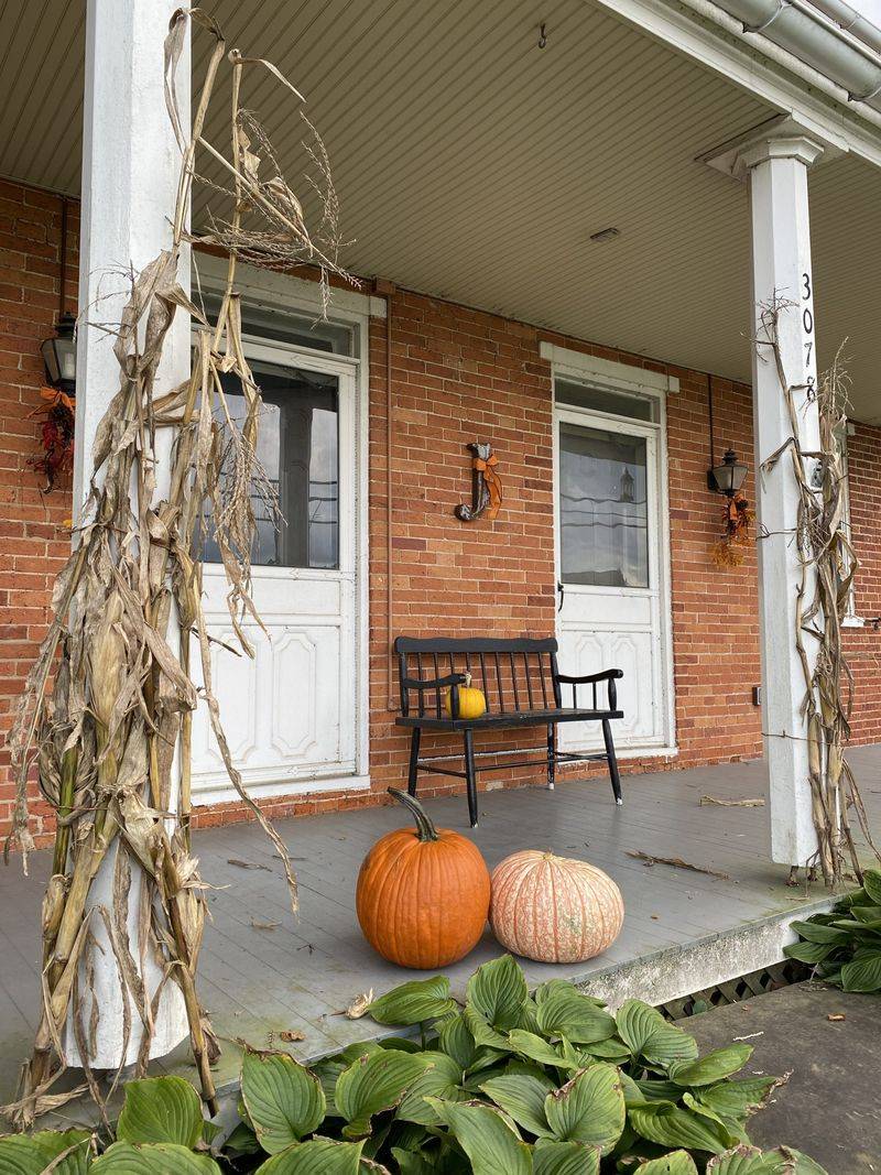 Locally Harvested Corn Shocks