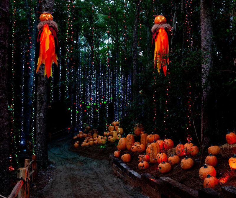 Pine Mountain Pumpkin Passage