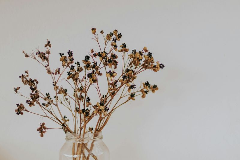 Dried Botanical Arrangements