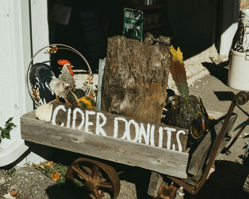 10 Vintage Fall Decoration Ideas That Feel Fresh Again - Decor Hint Rustic Wooden Signs