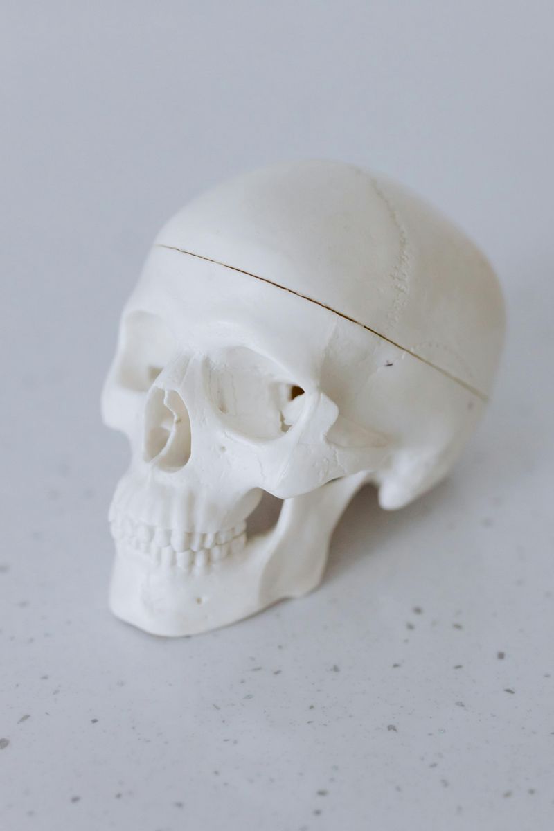 7 Chic Indoor Halloween Decorations That Skip The Tacky Look - Decor Hint Subtle Skull Accents on Shelves