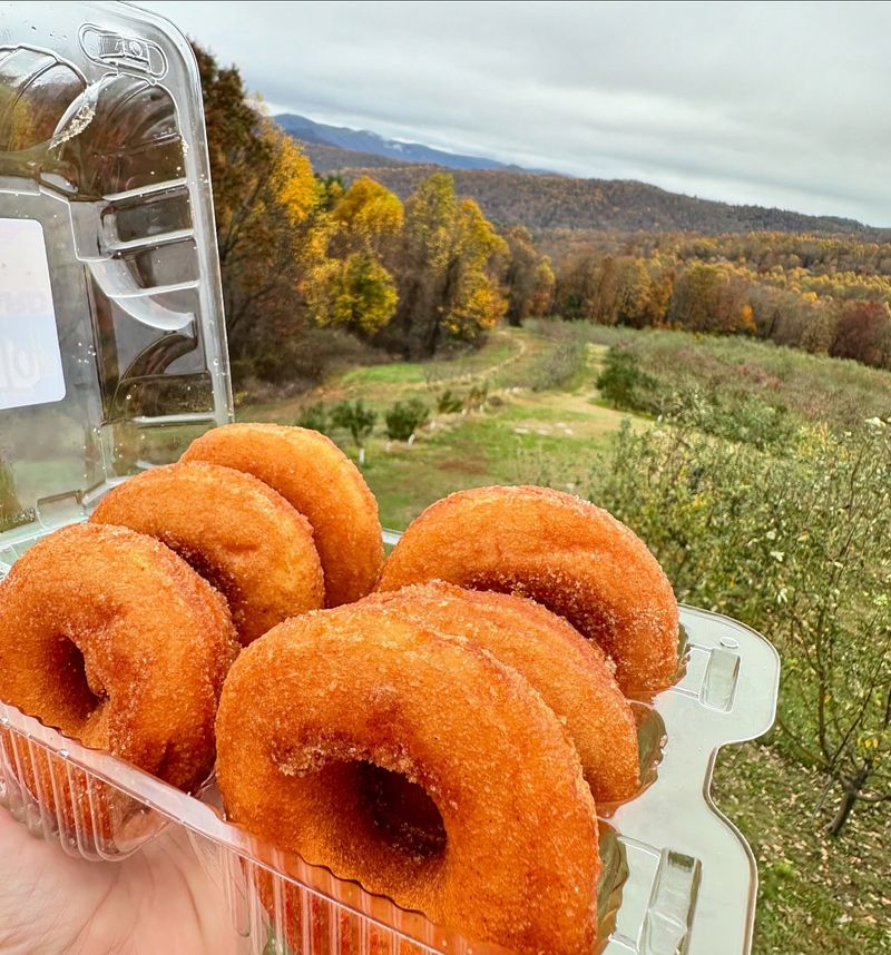Mountain Fresh Goodness at Sky Top Orchard