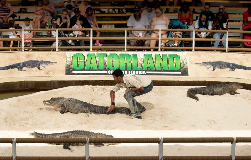 Wild Encounters At Gatorland