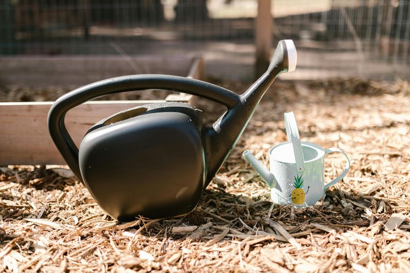 12 Backyard Improvements That Might Be Easy To Maintain Over Time - Decor Hint Mulched Garden Beds