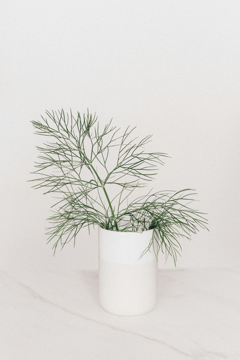 8 Ways Scale Could Be Affecting Your Room Without You Knowing - Decor Hint Decorative Items Disappearing on Expansive Surfaces