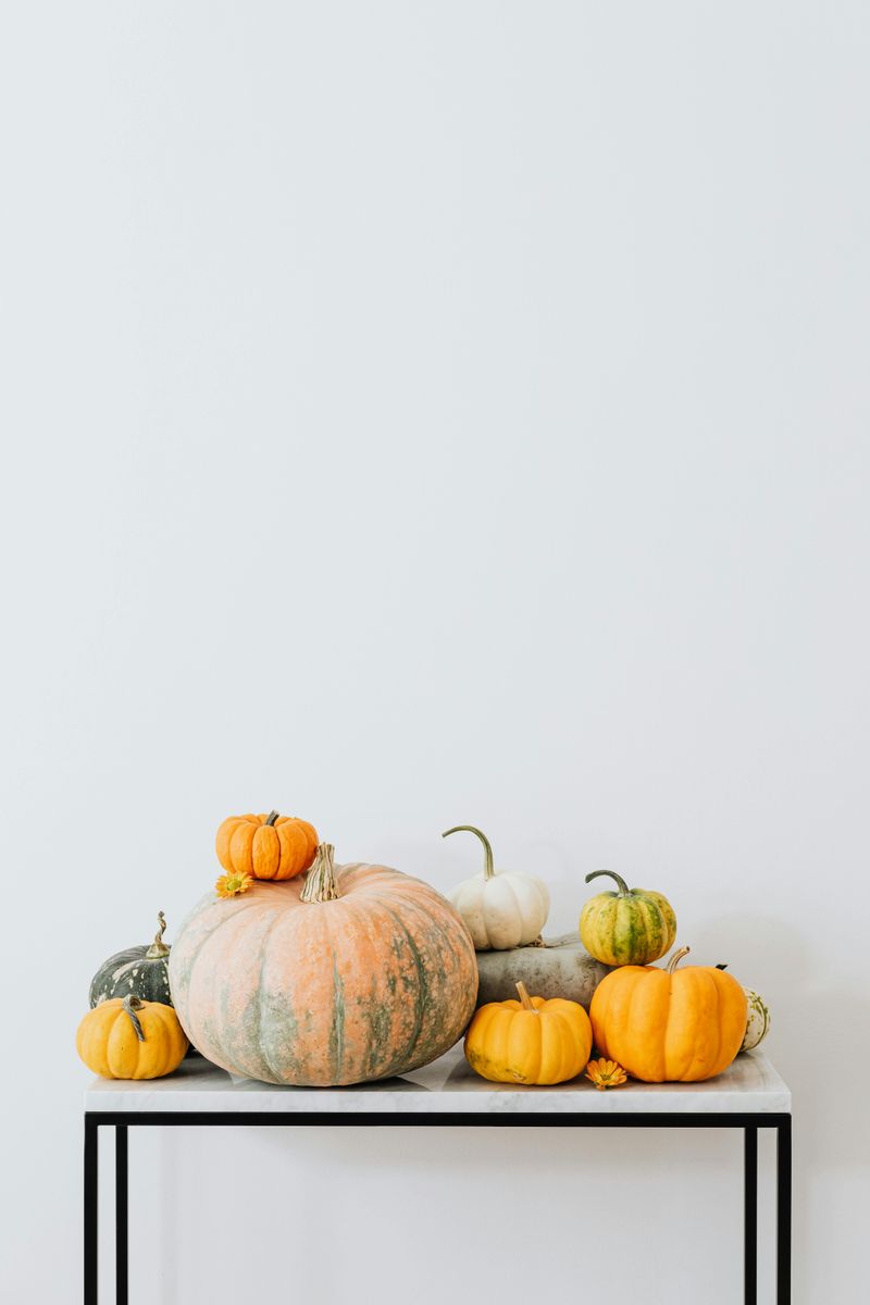Harvest Vegetable Display