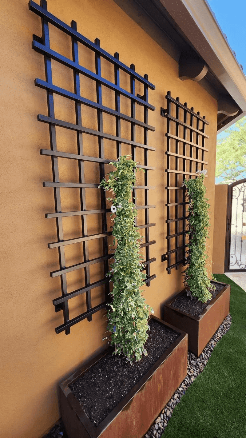 11 Arizona Patio Shade Ideas That Beat The Heat Fast - Decor Hint Vine-Covered Trellises