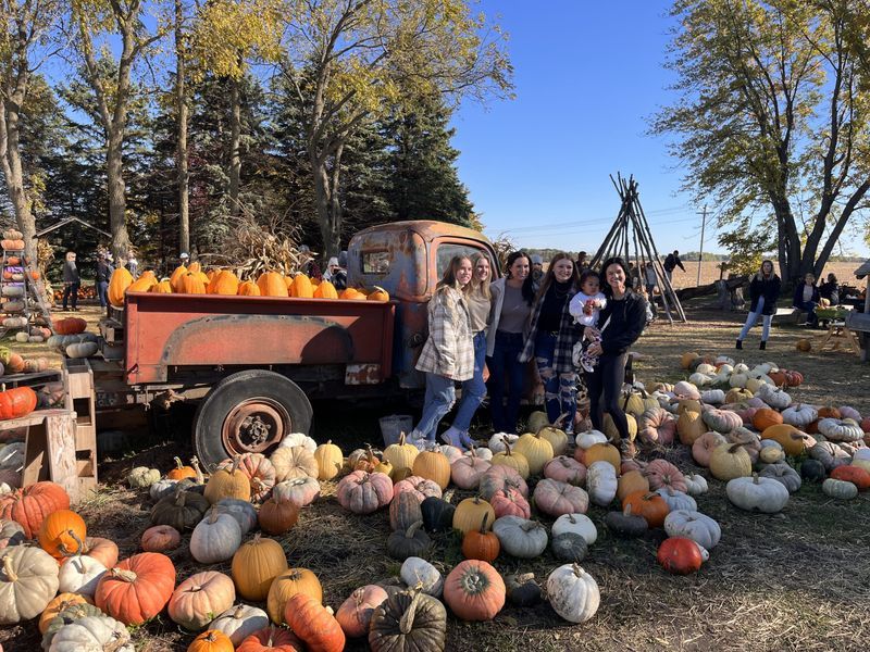 Pine Tree Apple Orchard in White Bear Lake