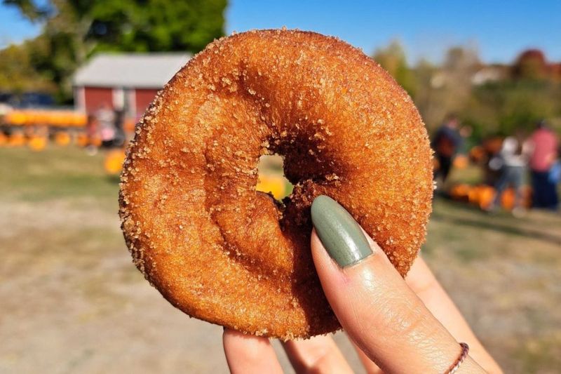 Masker Orchards – Warwick, NY