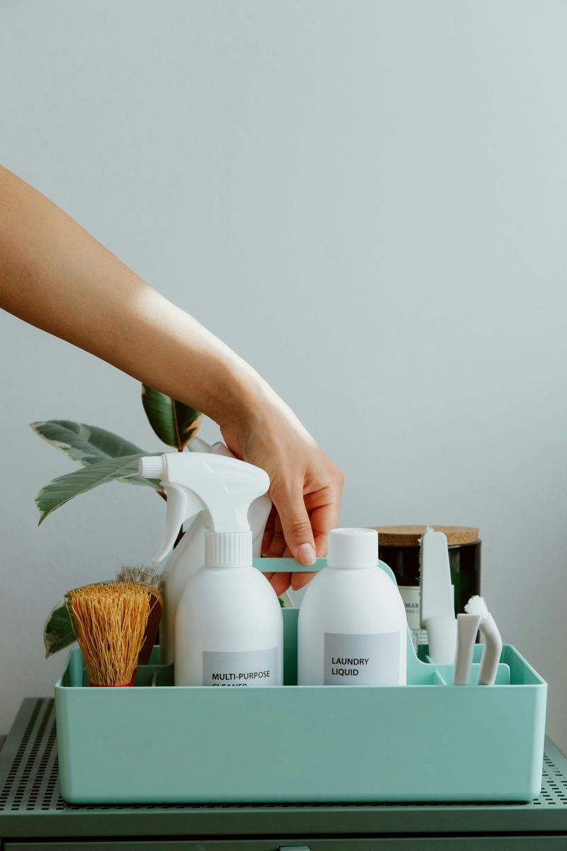 8 Items That Could Be Essential For Any New Homeowner - Decor Hint Cleaning Supplies