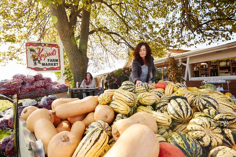 Door County Farmers Market (Sturgeon Bay)