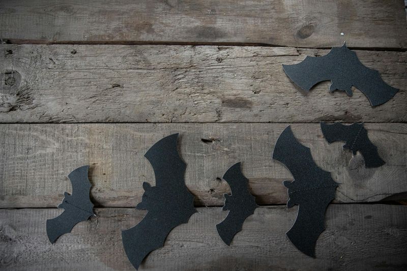 Recyclable Paper Or Cardboard Cutouts