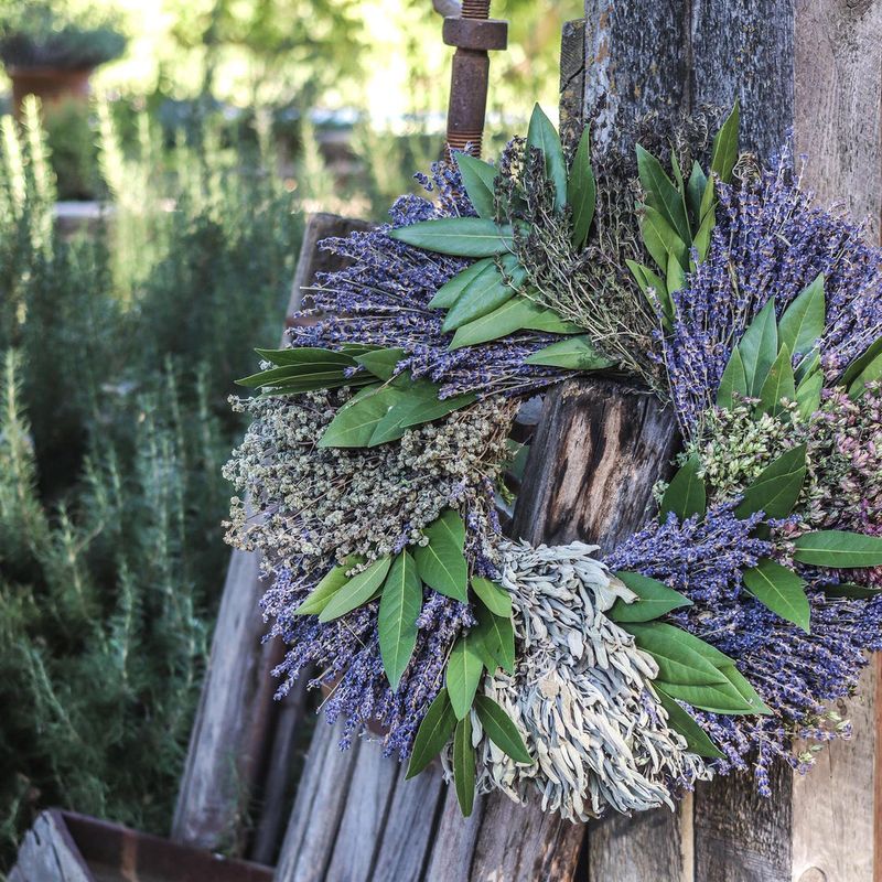 Sisters Sage and Lavender Halloween