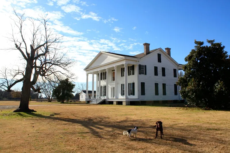 Greenville Plantation-Style Farmhouse Mississippi