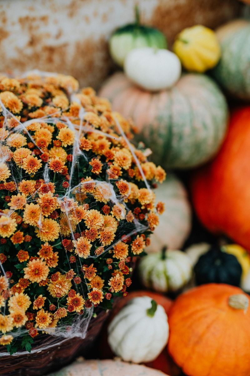 Themed Outdoor Décor (Holiday, Patriotic, Etc.)