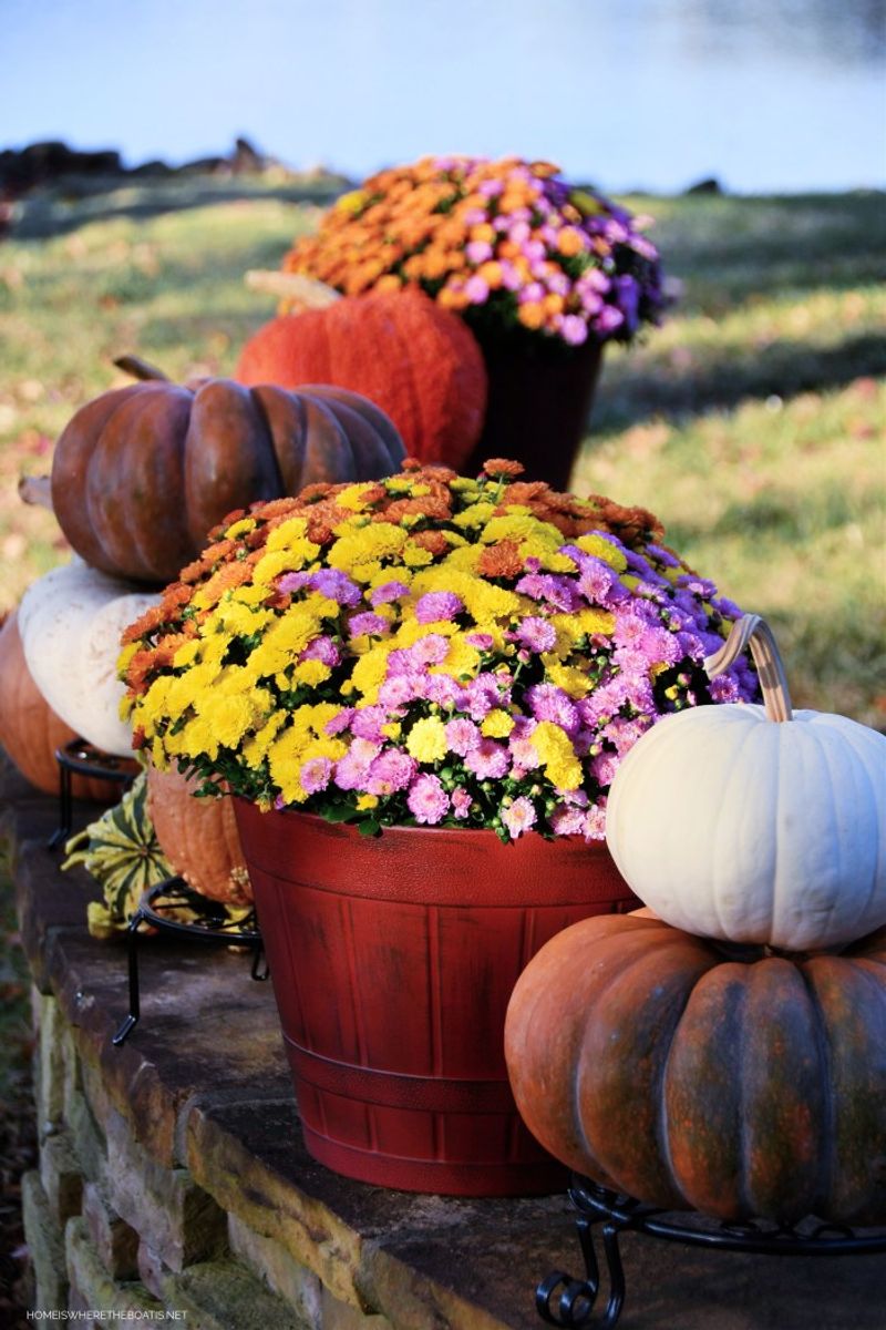Rusty Cauldrons Or Buckets With Mums