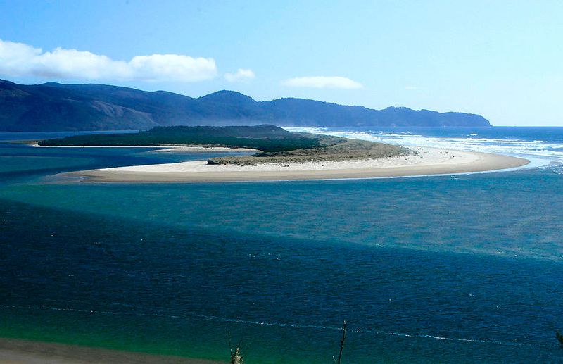 Netarts Spit's Pristine Sanctuary