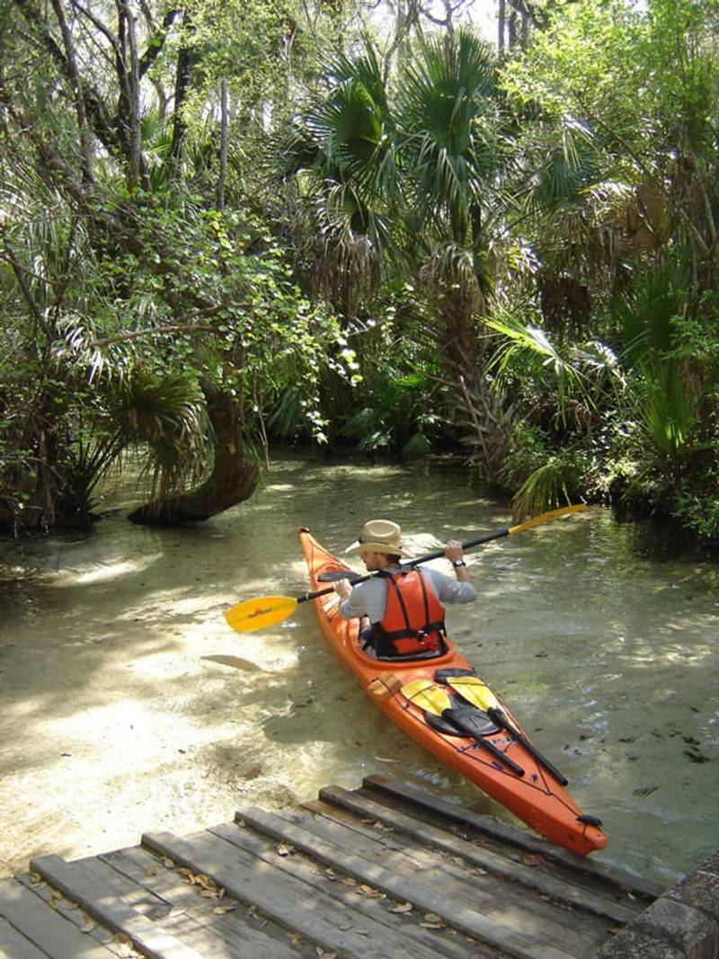 Juniper Springs: Wild Forest Waterway