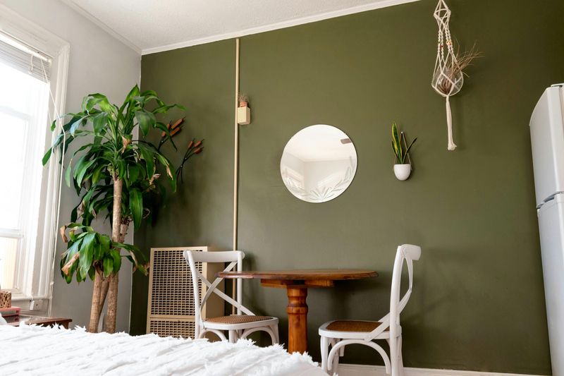 Hanging Plants In Woven Holders