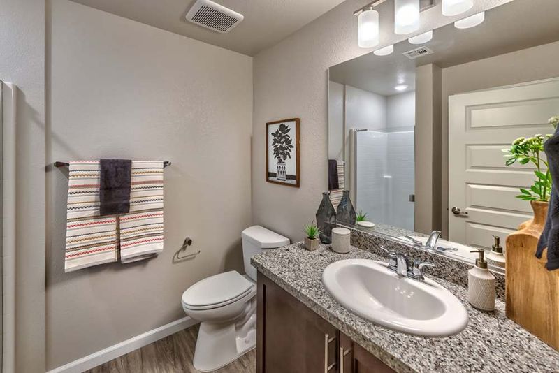 Carson City Luxury Bathroom