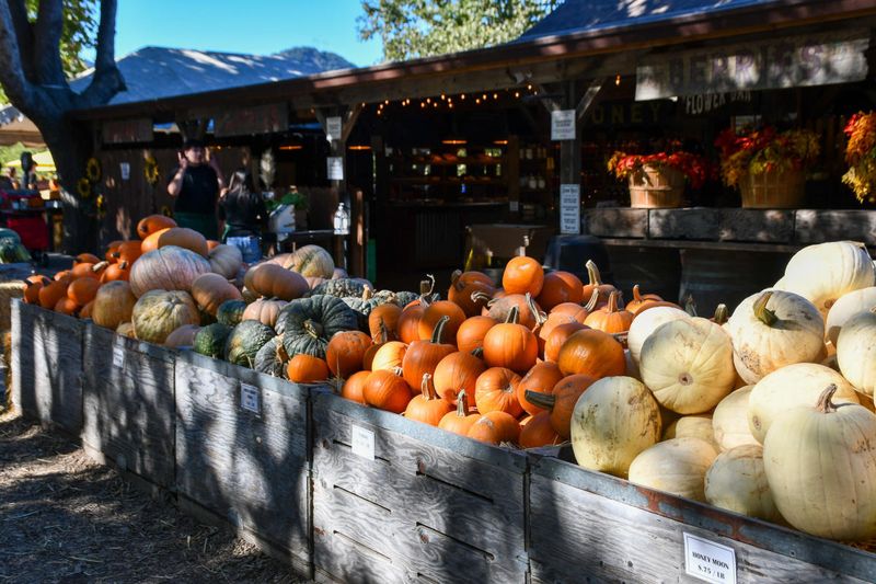 Local Farmers' Markets And Autumn Produce