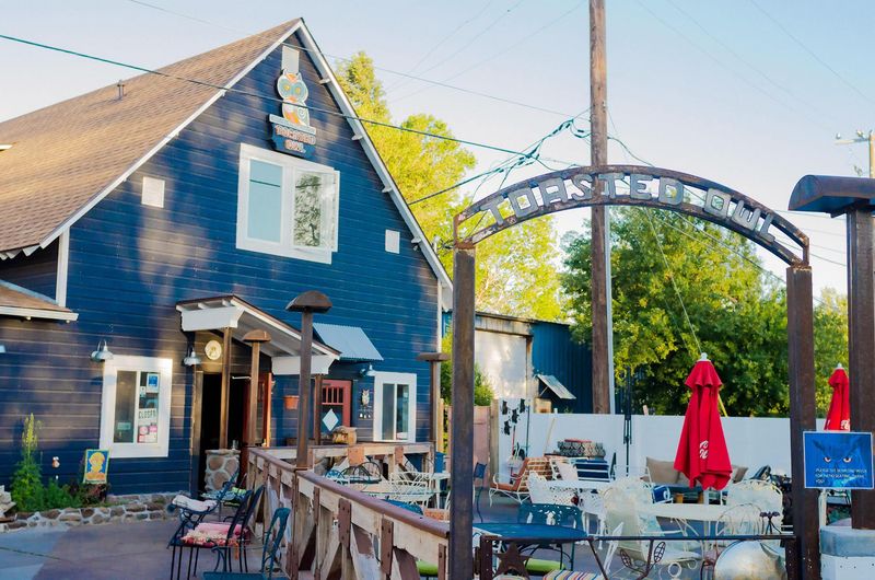 The Toasted Owl Café