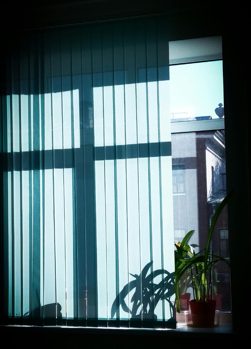 Vertical Blinds
