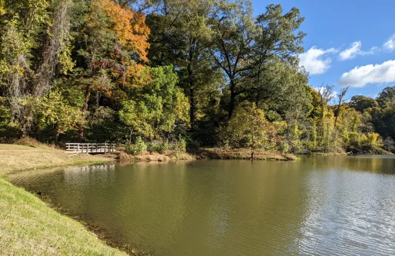 John James Audubon State Park - Birdwatcher's Autumn Paradise