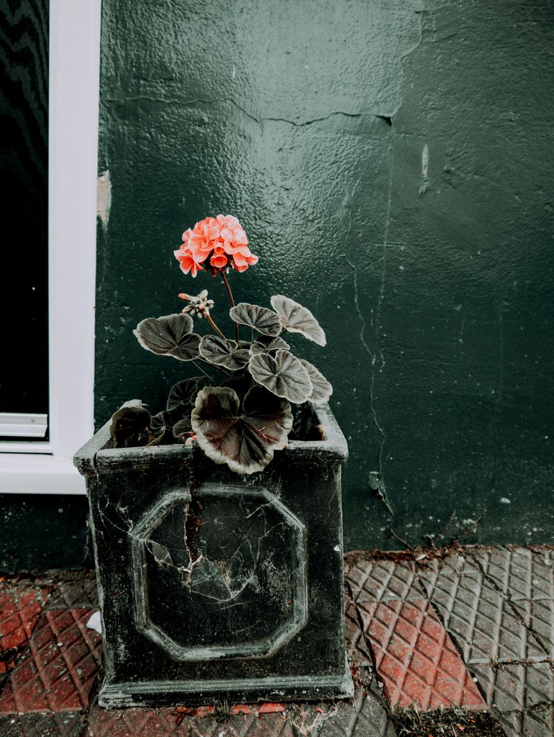 10 Elements That Could Instantly Make Your Backyard Seem Messy - Decor Hint Broken Planters